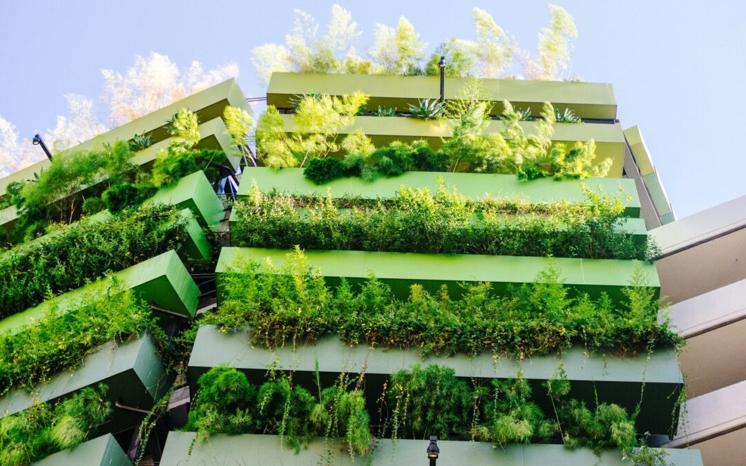 UK Net Zero Carbon Buildings Standard 2025: Complete Guide – Part 2