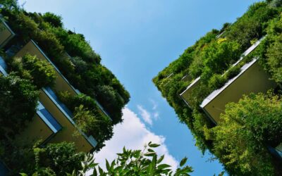 How to Design Buildings That Keep Materials in Play