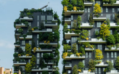 The Power of Material Efficiency Assessments and BREEAM Mat 06 in Sustainable Construction