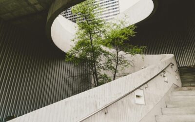 Understanding Whole Life Carbon: Building a Sustainable Future