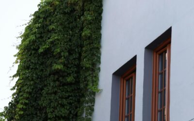 Embodied Carbon Reduction Through Early Opportunity Mapping