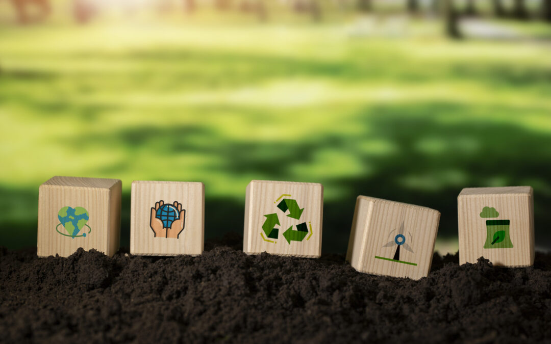 World Soil Day: Why Soil Health Matters for Sustainable Development and Low-Carbon Construction