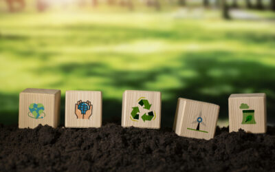 World Soil Day: Why Soil Health Matters for Sustainable Development and Low-Carbon Construction