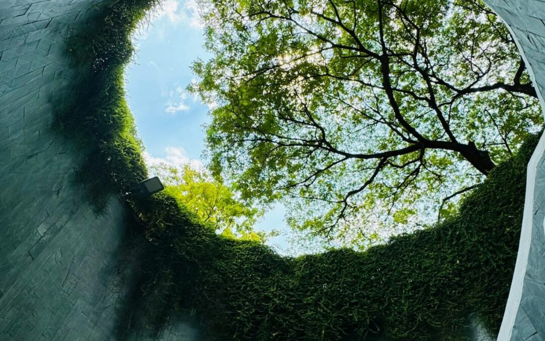 From Linear to Circular: Closing the Loop in the Built Environment