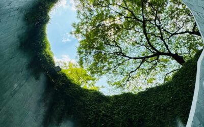 From Linear to Circular: Closing the Loop in the Built Environment