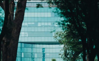 Material Transparency & Dynamic Material Passports