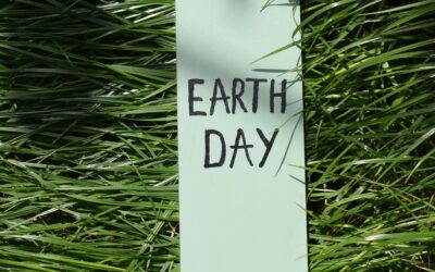 Earth Day: From Net Zero to Regenerative Buildings