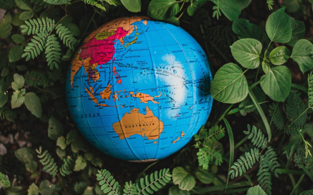 World Environment Day: The Biggest Carbon Decisions Happen Before Construction Starts